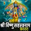 About Sri Vishnu Sahasranamam Fast Song